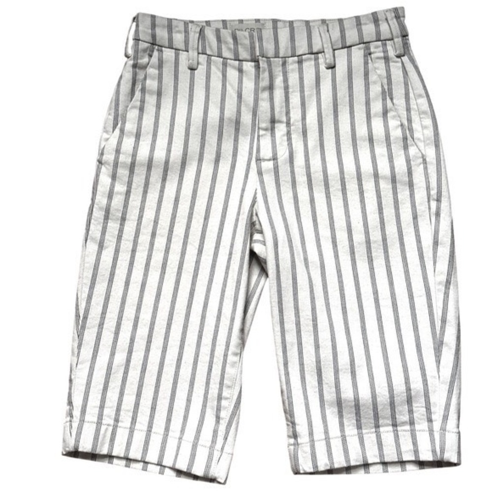 Anthropologie Pilcro Striped Bermuda Shorts 27 Coastal Quiet Luxury Linen Look - Picture 4 of 9